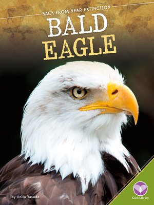 cover image of Bald Eagle